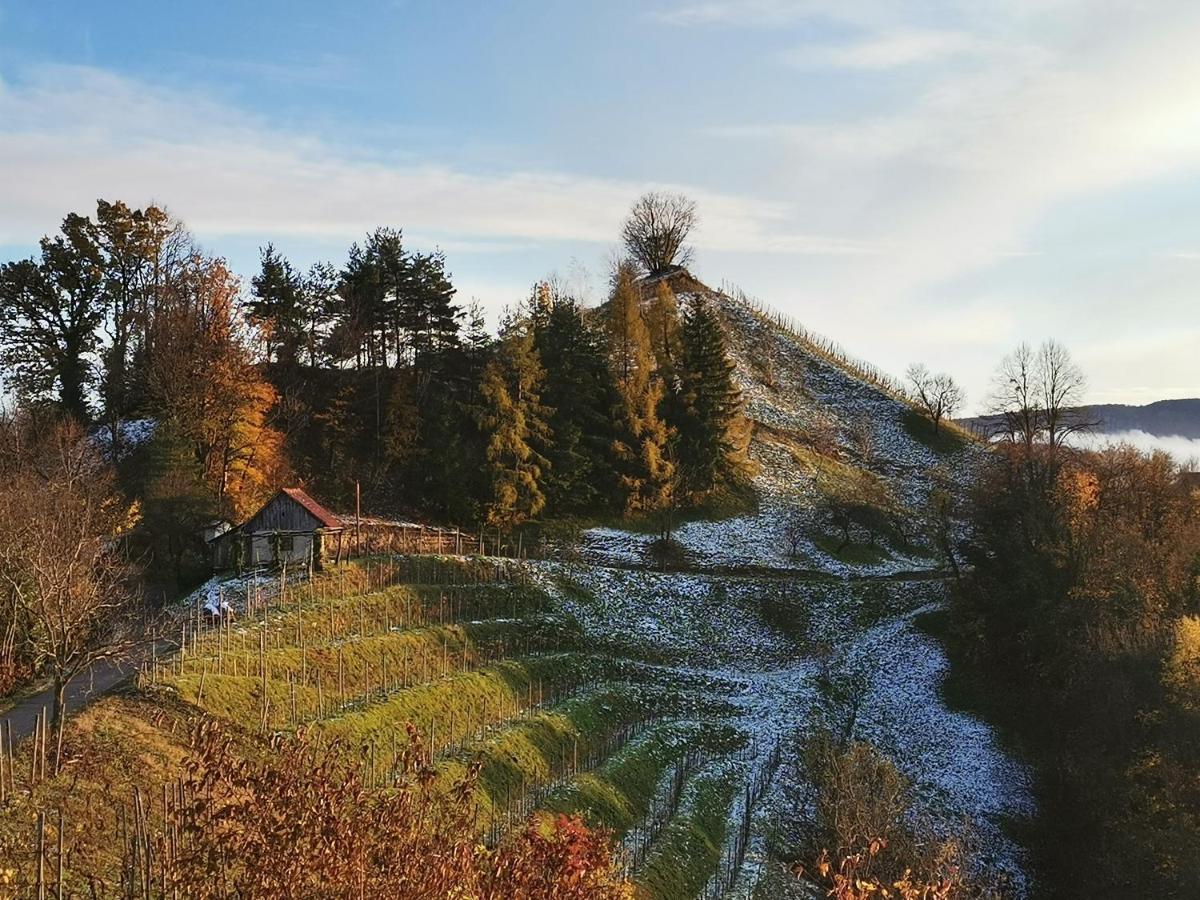 Hill Cottage Haloze Gruskovec Buitenkant foto