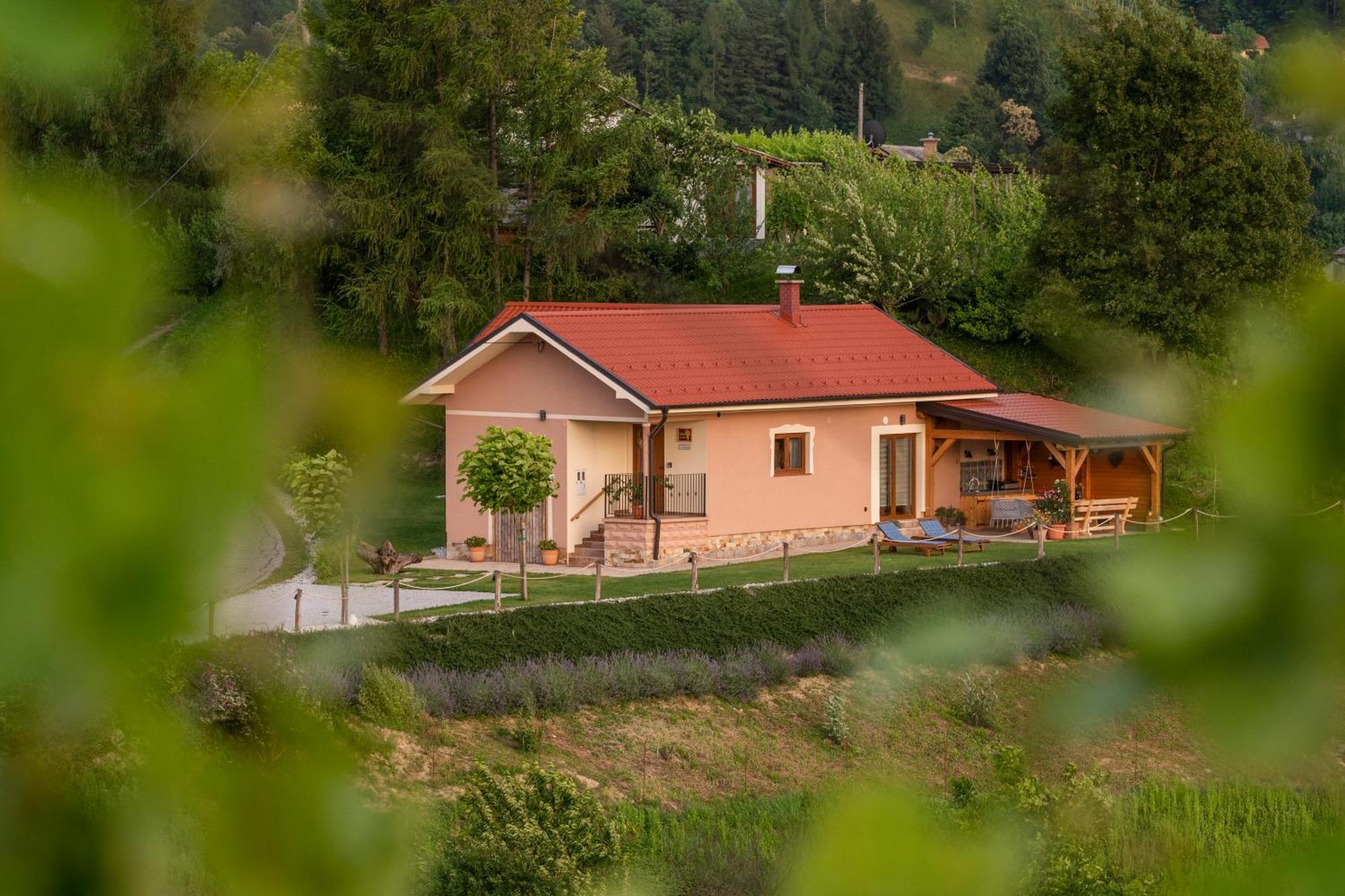 Hill Cottage Haloze Gruskovec Buitenkant foto
